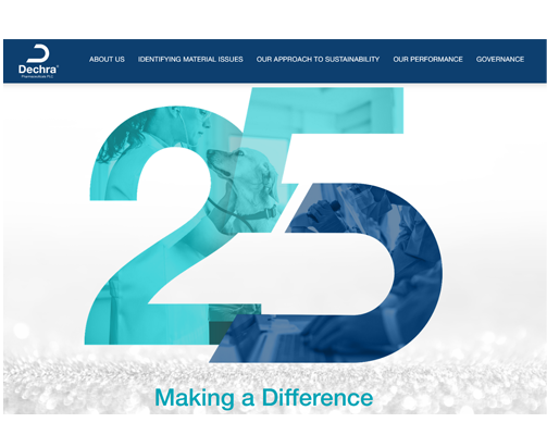 Sustainability report icon
