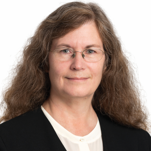 The Senior Executive Team